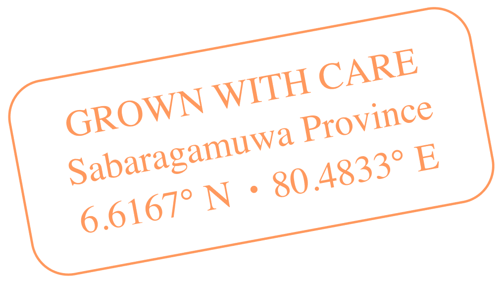 our-garden-badge