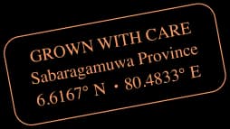 stamp info